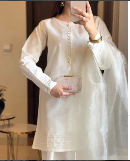 Beautiful Farshi Style Suit Set