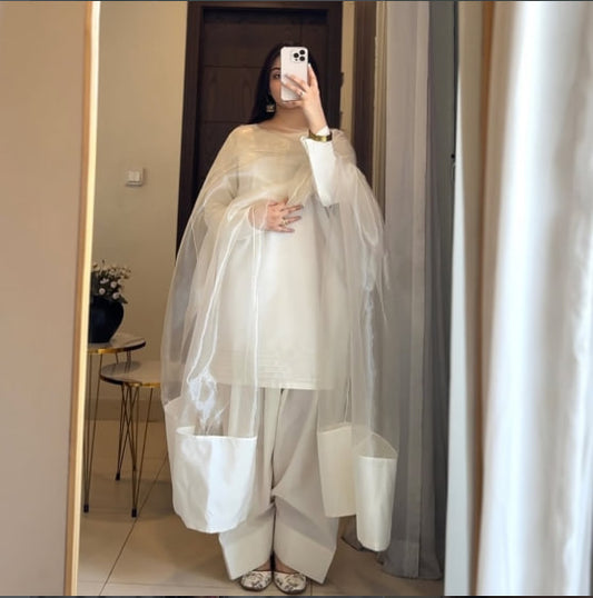 Beautiful Farshi Style Suit Set